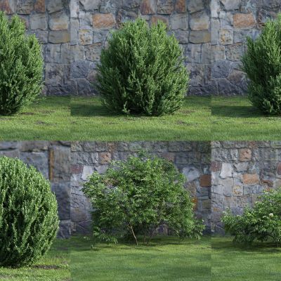 现代灌木 花草 绿植 花坛 景观植物 绿篱