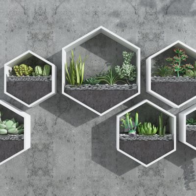 现代绿植多肉花草墙饰