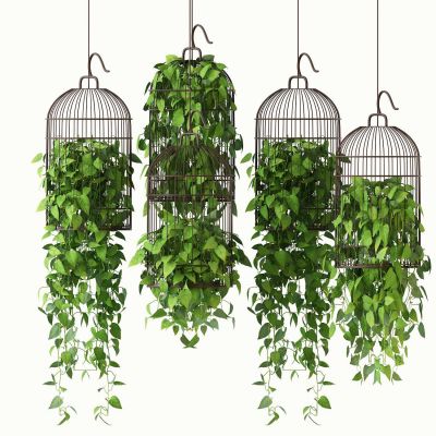 新中式现代吊笼植物