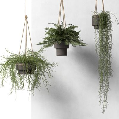 现代吊篮绿植盆栽