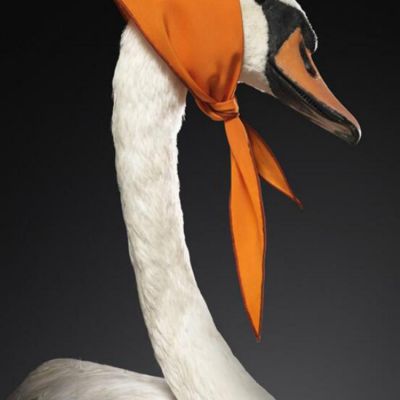 北欧现代天鹅装饰挂画