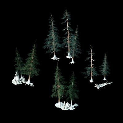 中式松树 树 雪地 雪树 雪地松 景观树 植物