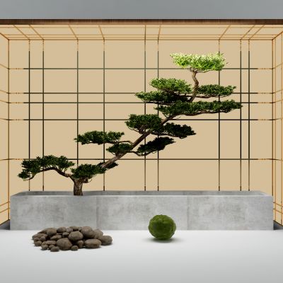 中式松树 盆景花池景观