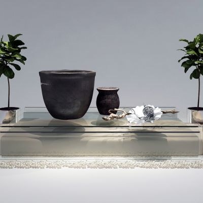 现代缸 摆件组合 莲藕