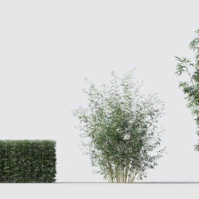 现代绿植竹子组合