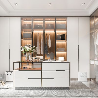 现代衣帽间