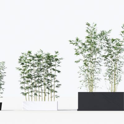 中式竹子绿植盆栽组合