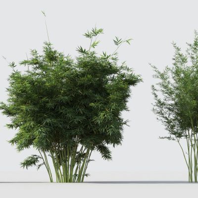 现代绿植竹子组合