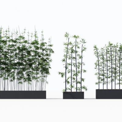 中式竹子绿植盆栽组合