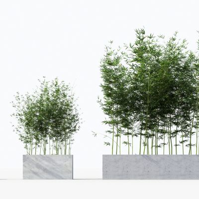 中式竹子绿植盆栽组合