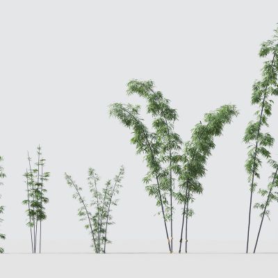 现代绿植竹子组合