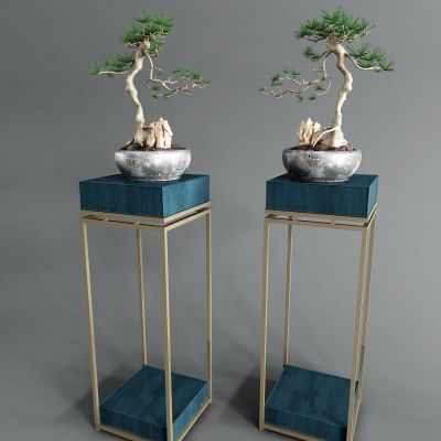 新中式花架 松树盆景
