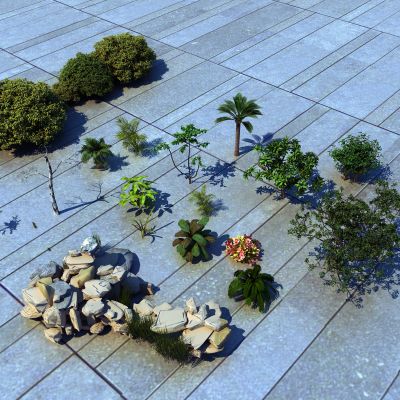 现代园林景观 植物 假山组合