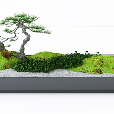 新中式盆景 玄关小景 园林小景 植物