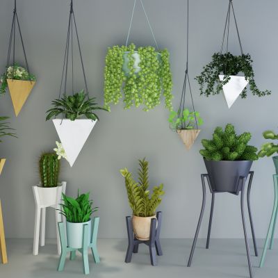 北欧植物组合吊篮
