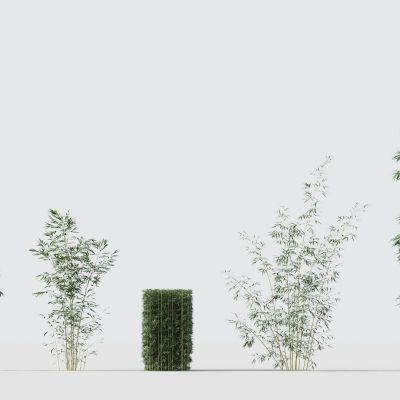 现代绿植竹子组合