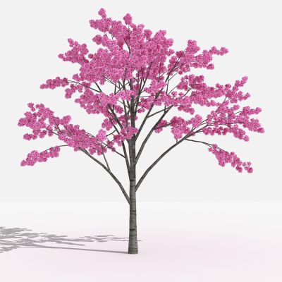 中式 花 灌木 树 植物 花 草 景观植物 园林 小区植物