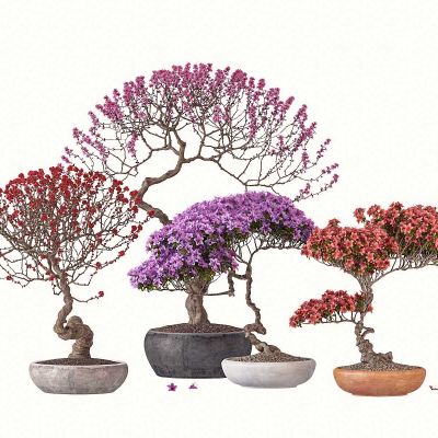 现代花草盆栽组合