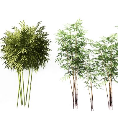 新中式竹子组合