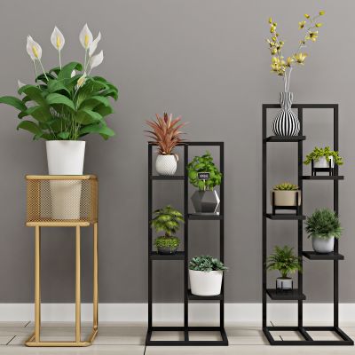 现代绿植 盆栽 植物