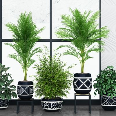 现代盆栽摆件 绿植摆件  装饰绿植