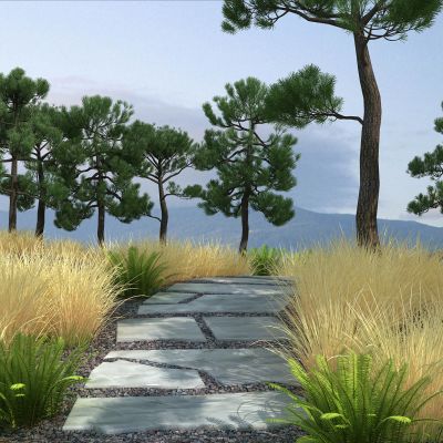 现代园林景观 公园景观 自然 树木 松树林 针茅 肾蕨