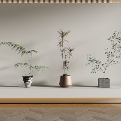 现代轻奢绿植盆栽组合