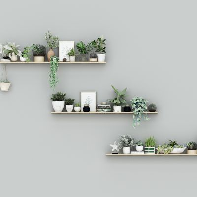 现代桌面盆栽，装饰架装饰品，绿植，摆件，植物