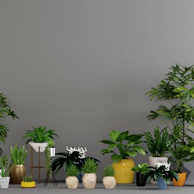 现代北欧植物盆栽