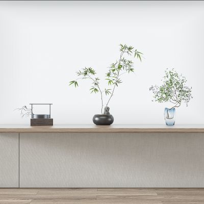 现代盆栽植物组合