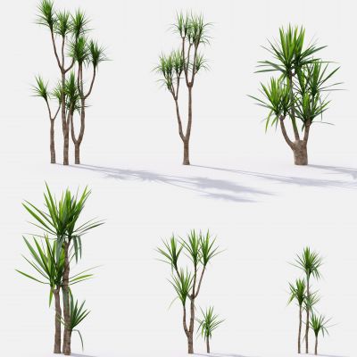 现代树 景观树 花草 植物 草丛 花坛 绿植