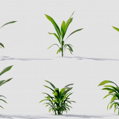 现代花草 植物 草丛 花坛 绿植