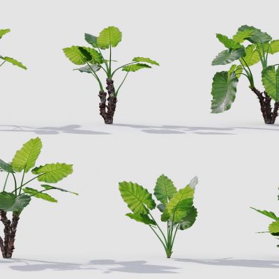 现代花草 植物 草丛 花坛 绿植