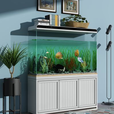 现代鱼缸水族组合