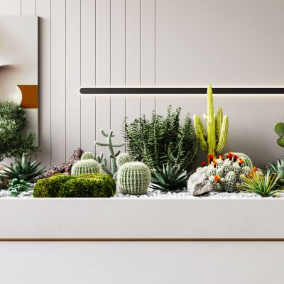 现代植物堆|绿植摆件