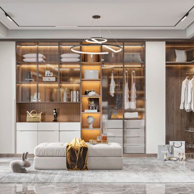 现代衣帽间
