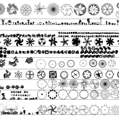 植物 施工图CAD图纸