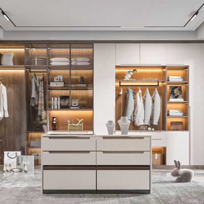 现代衣帽间