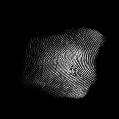 指纹纹理