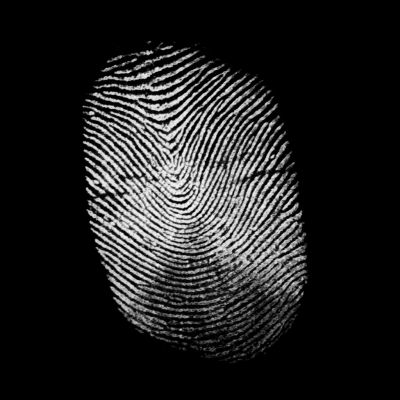 指纹纹理3D贴图