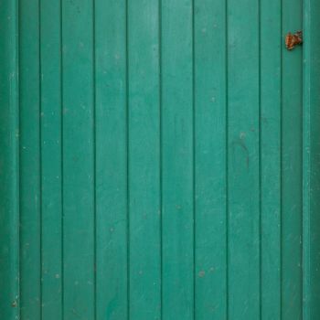 木门纹理3D贴图