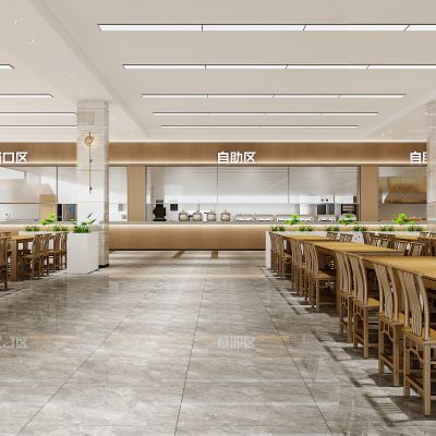 现代学校食堂