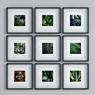 现代绿植挂画，装饰画