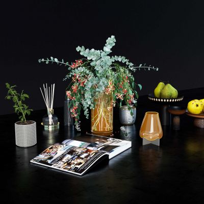 现代饰品摆件 花瓶 食物 果盘杂志