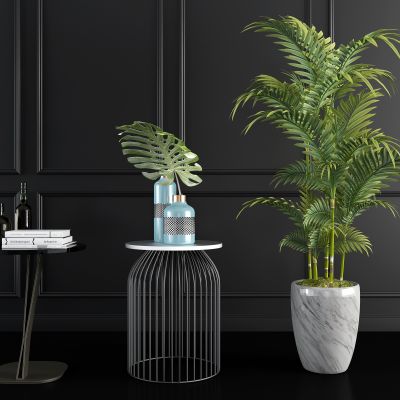 现代金属角几 边几 盆栽 饰品组合