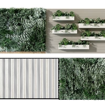现在植物墙，绿植墙，花槽