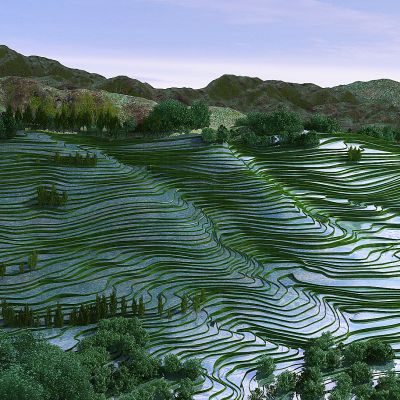 现代山区梯田景观