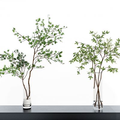 现代水生植物,玻璃花瓶