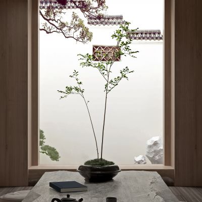 新中式茶壶书籍植物盆栽