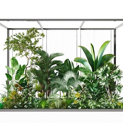 现代绿植植物墙